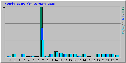 Hourly usage for January 2023